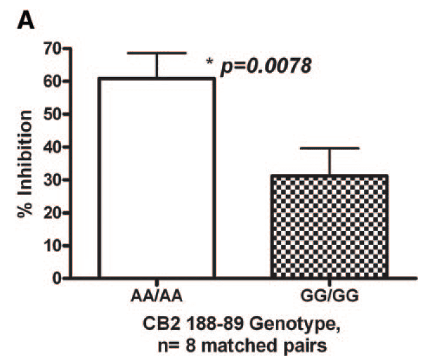 2005-CB2-Q63R-lymphocyte-proliferation.png