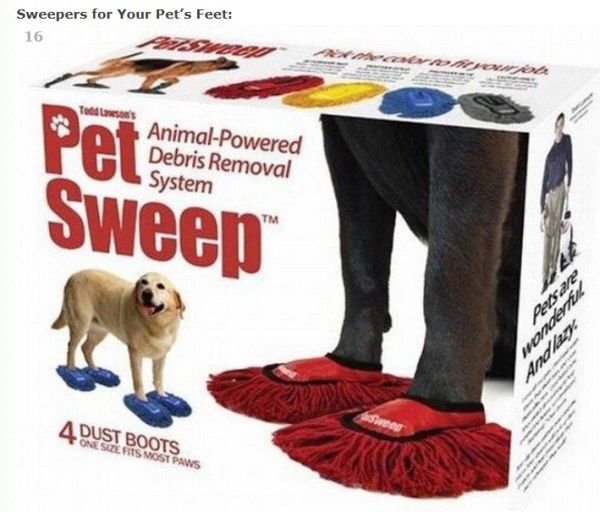 16-Weird-Things-Dog-Pet-Sweet-Slippers.jpg