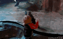 19-things-you-wont-expect-at-zoo-1.gif