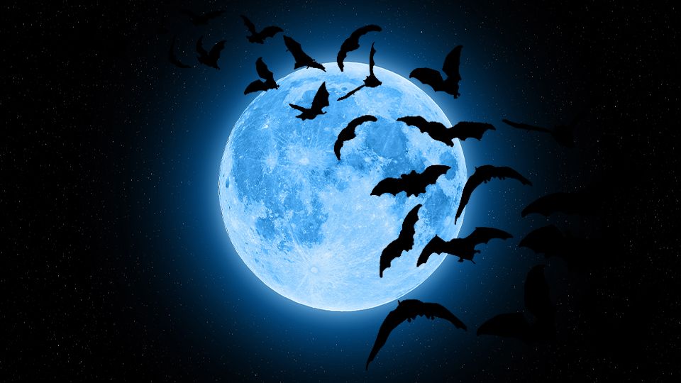 a-rare-blue-moon-is-happening-on-halloweene28094heres-what-that-means.jpg