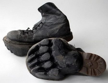 animal-footprint-shoes.jpg