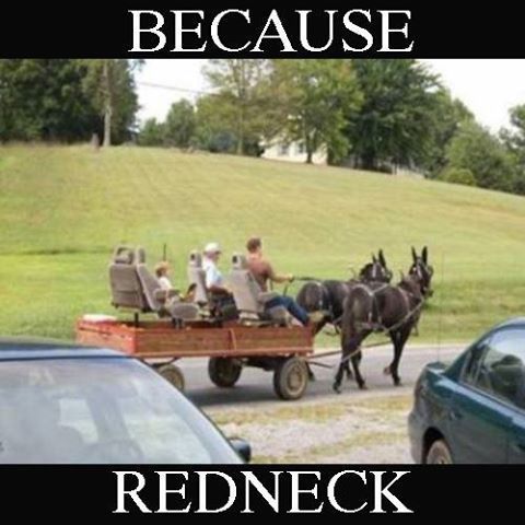 Because-Redneck-Tour-Wagon.jpg