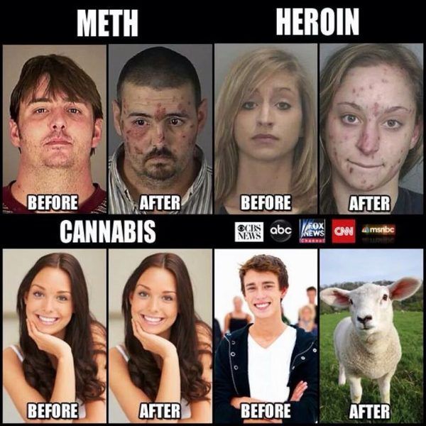 before-after-drugs-msm-600x600.jpg