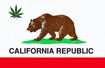 california_flag1_vu2a.jpg