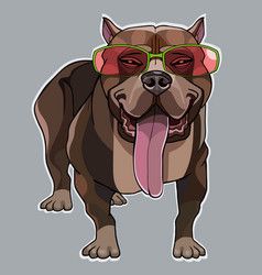 cartoon-muscular-dog-a-pitbull-in-the-pink-glasses-vector-21393345.jpg
