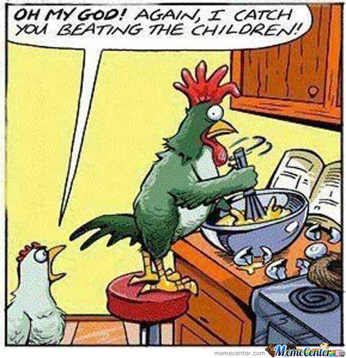 chicken-humor_o_2035479.jpg