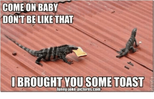 come-on-baby-dont-be-like-that-i-brought-you-7405631.png