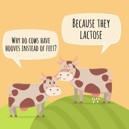 cow-jokes-for-kids-2.jpg