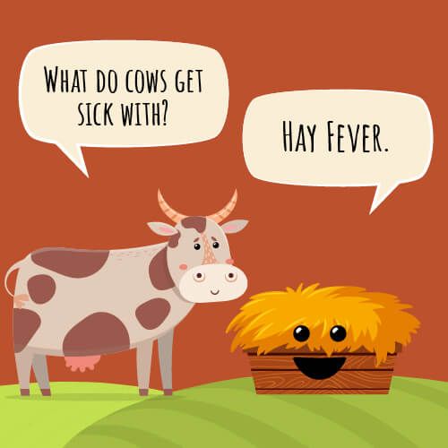 cow-jokes-for-kids-3.jpg