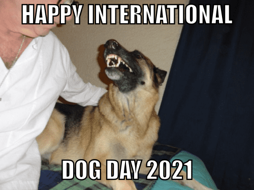dogday.png
