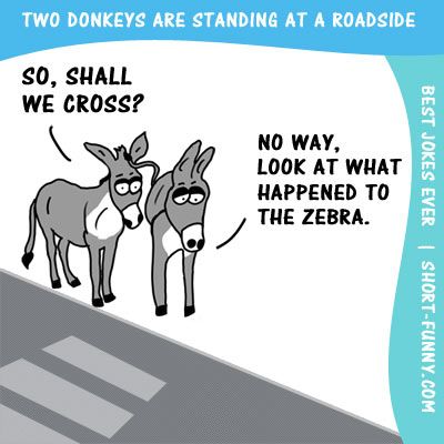 donkey-joke.jpg