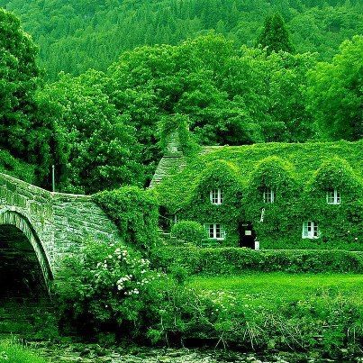 Fairytale-Cottage-in-England.jpg
