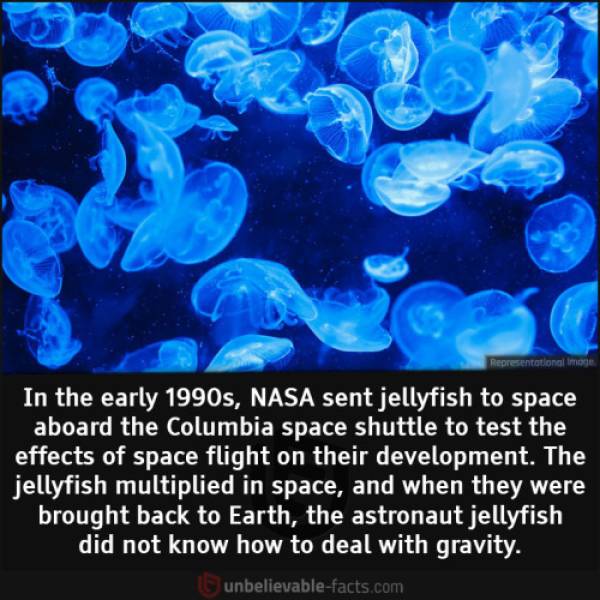 fascinating_facts_about_the_world_640_12.jpg