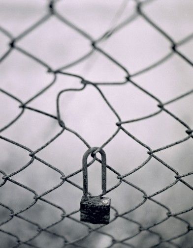 fencelock-392x505.jpg