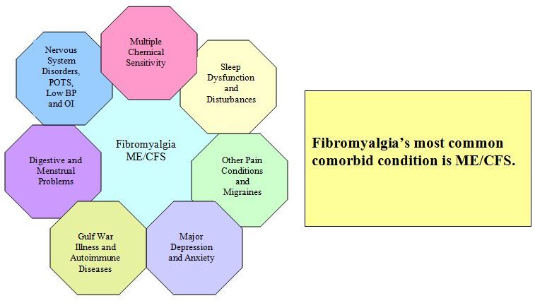 Fibromyalgia_comorbid_conditions.jpg