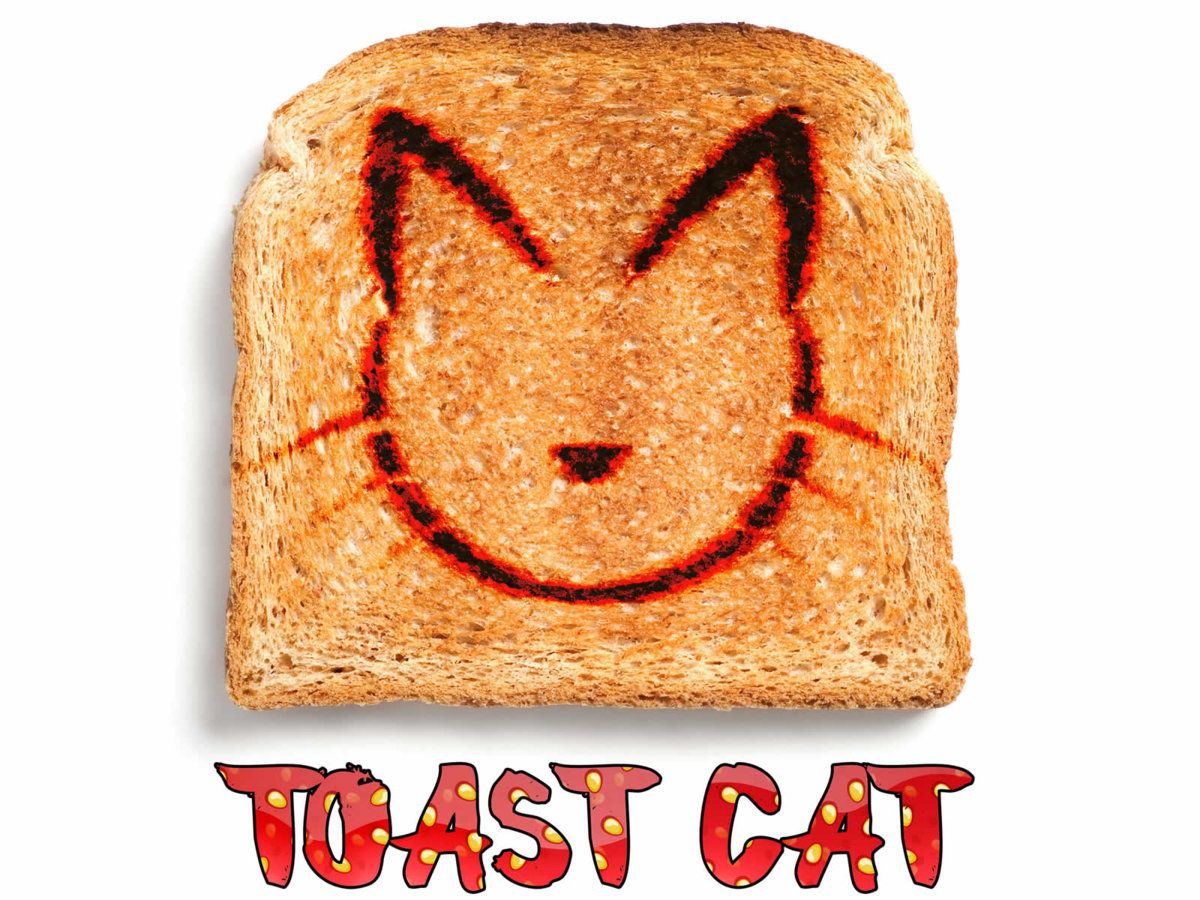 freaky_ally_copy_cat_toast_cat_01.jpg