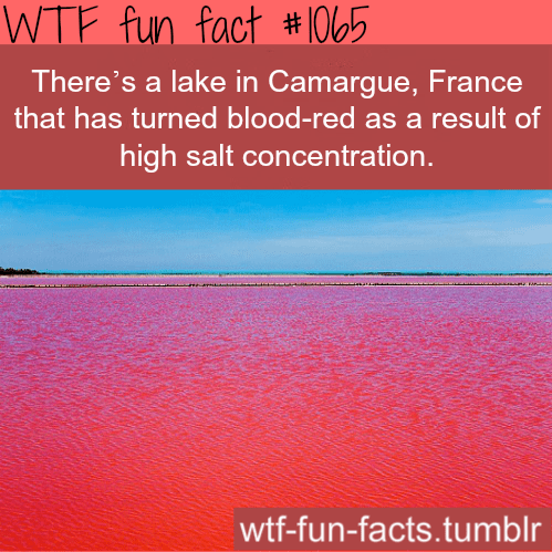 fun-facts-red-lake-in-france.png
