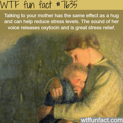 fun-facts-talking-to-your-mom-can-help-your-stress-levels.png