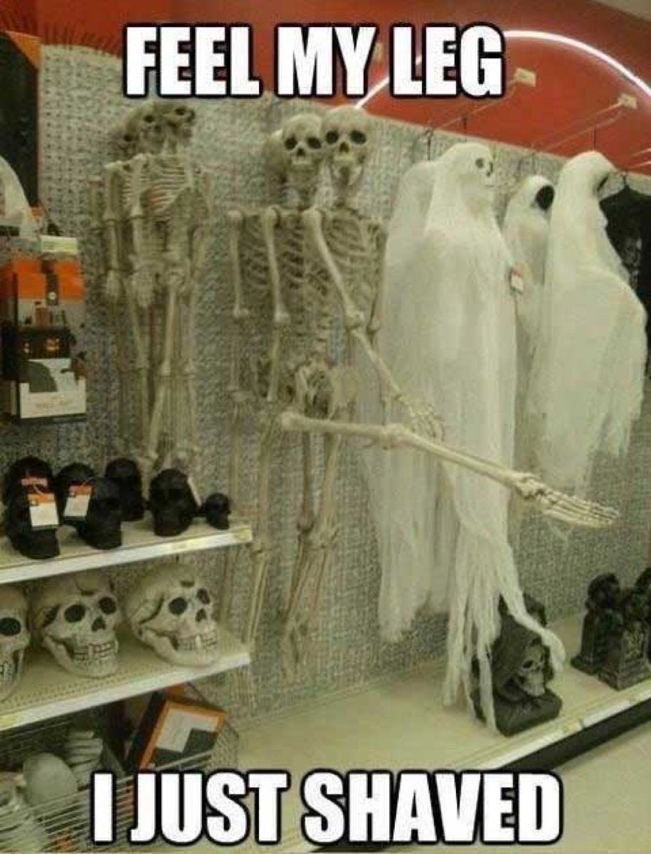 funny-halloween-meme-skeleton.jpg