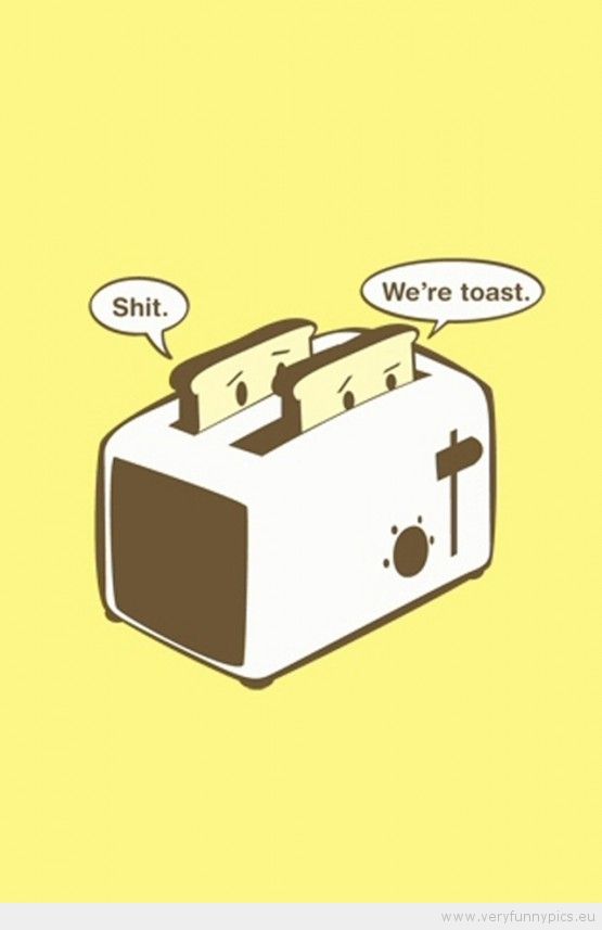 funny-picture-shit-were-toast-555x857.jpg