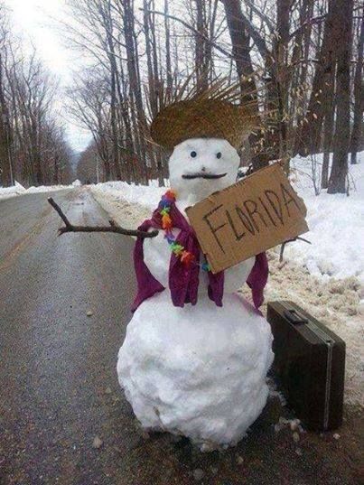 funny-snowman-florida.jpg