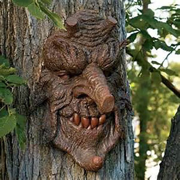 Funny-Tree-Pictures-10.jpg