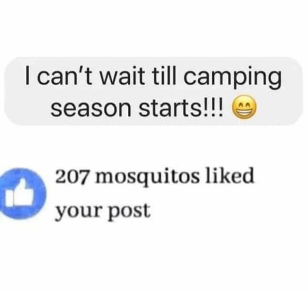 funny_camping_memes_to_brighten_your_day_640_07.jpg