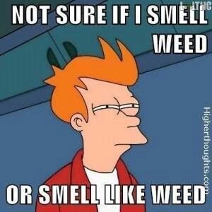 Futurama-Fry-Stoner-Meme.jpg