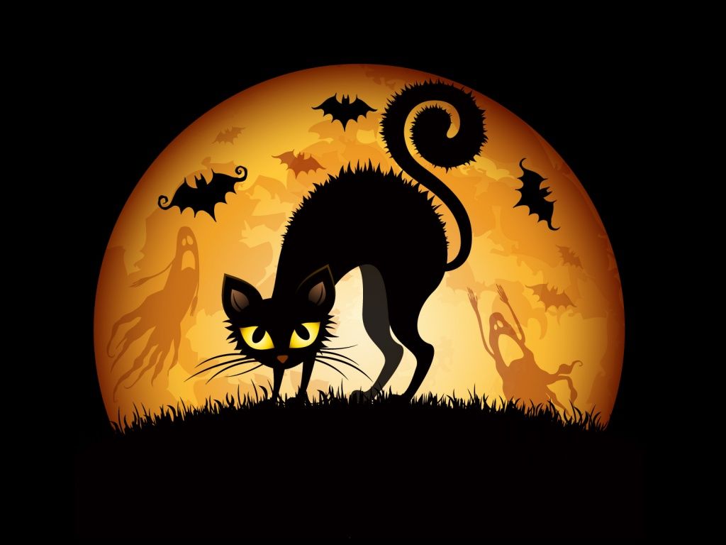 Halloween-Cat-Images-01.jpg