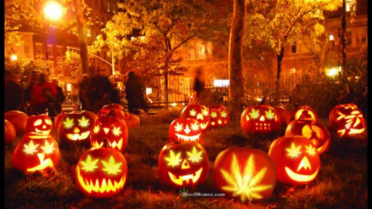 halloween-weed-pumpkin-carving-weedmemes-758x426.jpg