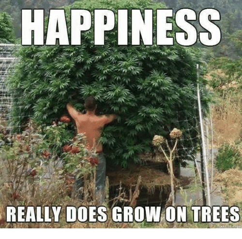 happiness-really-does-grow-on-trees-7049754.png