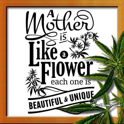 happy-mothers-day-weed-memes.jpg