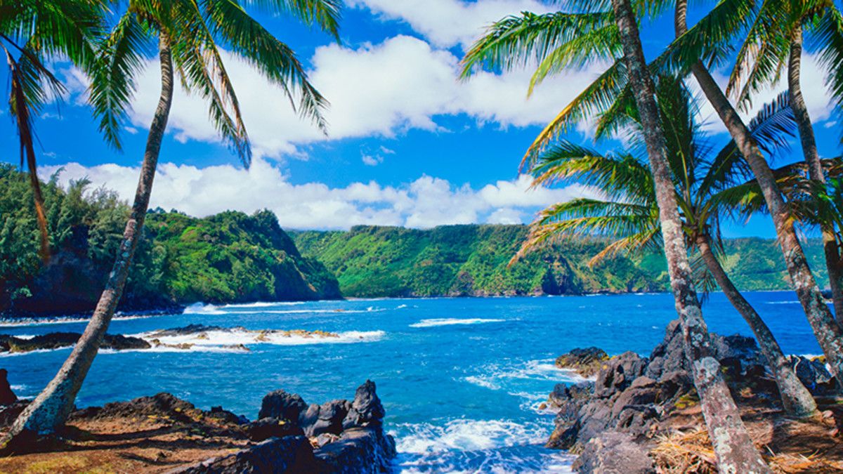 hawaii-beach-yoga-retreat.jpg