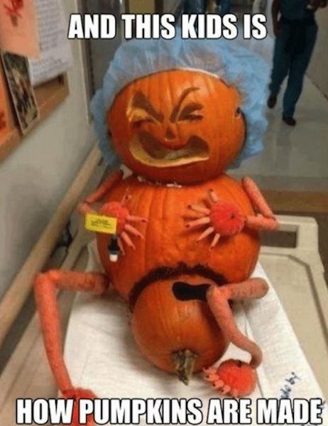 how-pumpkins-are-made-meme.jpg