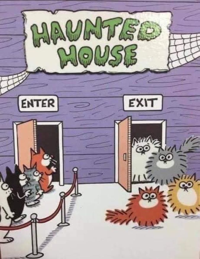 Hunted-House-Funny-Halloween-Memes.jpg