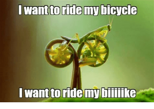 i-want-to-ride-my-bicycle-i-want-to-ride-6997784.png