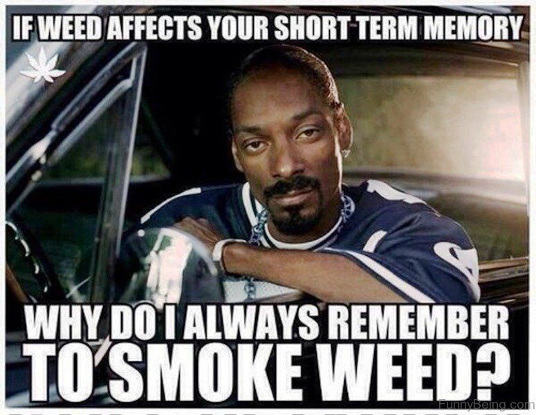 If-Weed-Affects-Your-Short-Term-Memory.jpg