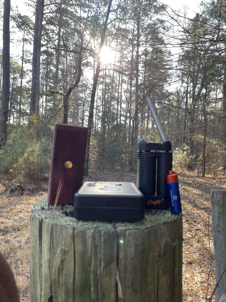 l9eckk-My_new_smoke_spot_in_the_woods_behind_my_parents_house._Gotta_love_vaping_in_nature-45p...jpg