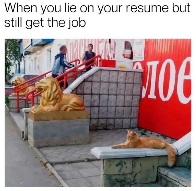 lie-on-resume-but-still-get-job-106.webp