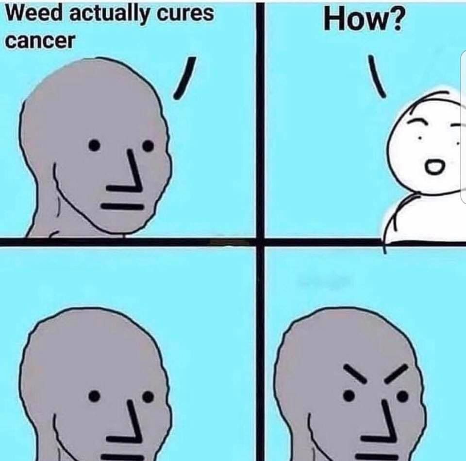 meme-weed-cures.jpg