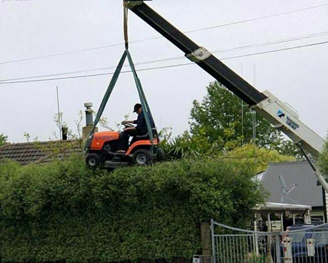 mowing-the-hedges.jpg
