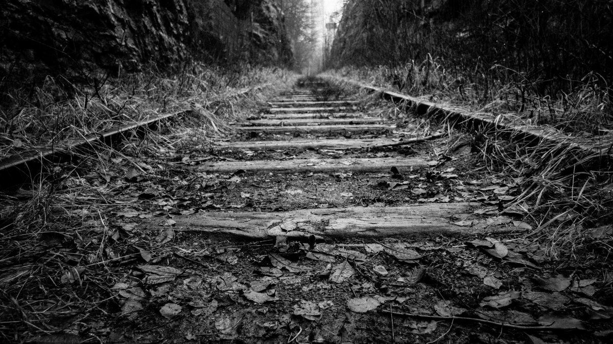old-rail-track-wallpaper-4k-2560x1440.jpeg