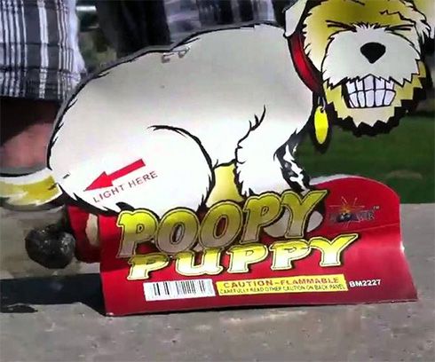 pooping-dog-firework1.jpg