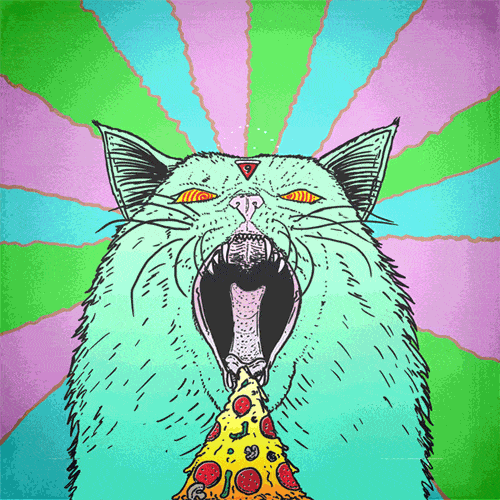 psych-pizza-cat.gif