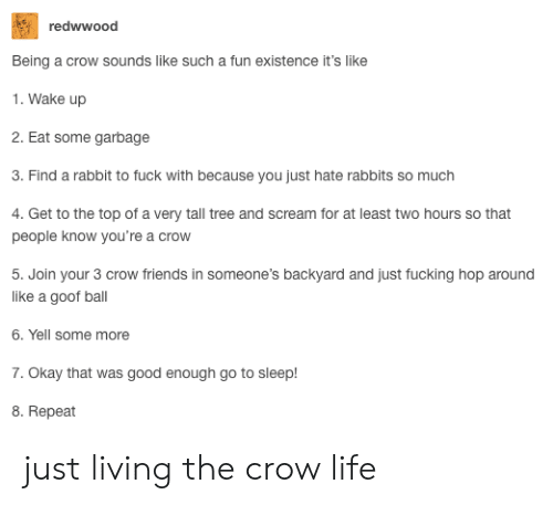 redwwood-being-a-crow-sounds-like-such-a-fun-existence-42582278.png