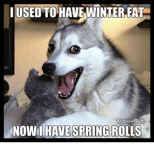 rolls-spring-meme.png