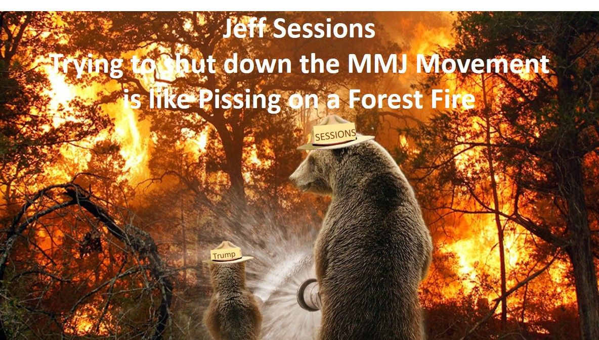 Session pissing on forest fire.jpg