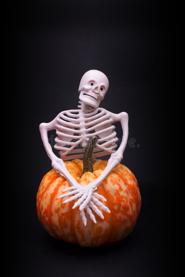 skeleton-pumpkin-3138546.jpg