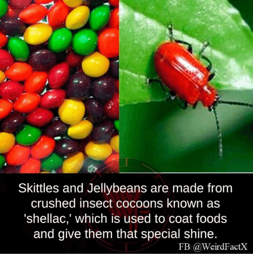 skittles-and-jellybeans-are-made-from-crushed-insect-cocoons-known-17542338.png