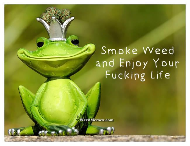 smoke-weed-enjoy-life-quote.jpg